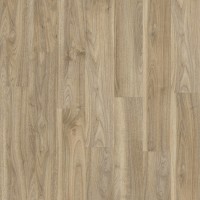 English Walnut 20226